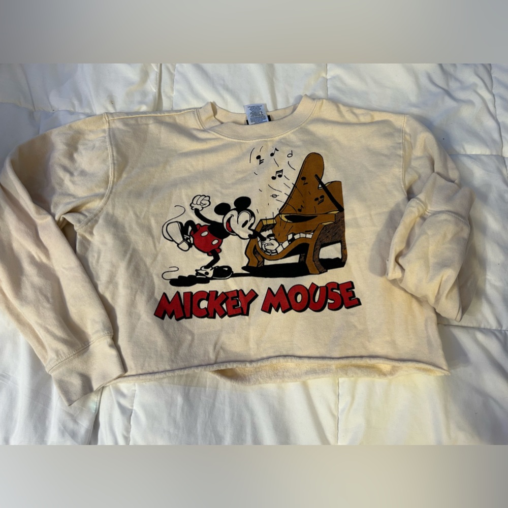 Disney Sweater Cropped